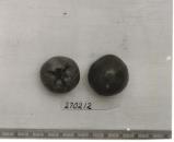 Click for 1 image(s) for this accession. FRUIT